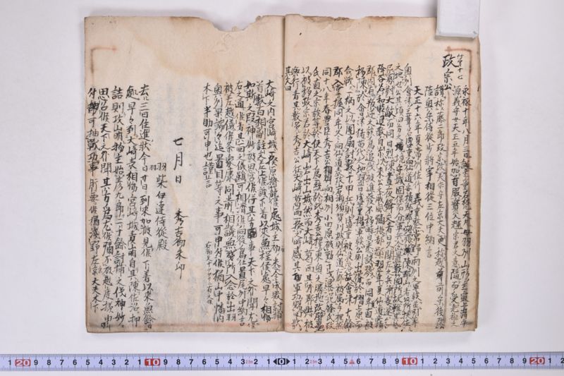 「本朝元始国常立尊第八代〜」（系図・家譜） - ページ 13