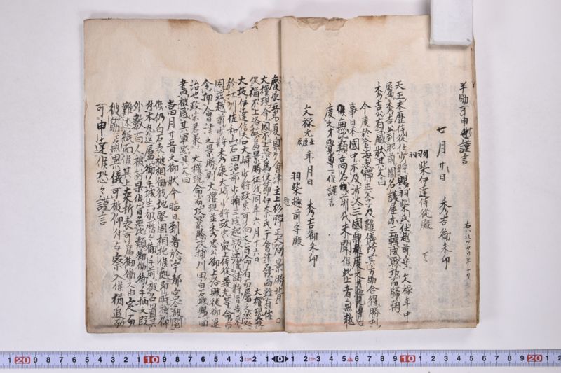 「本朝元始国常立尊第八代〜」（系図・家譜） - ページ 14