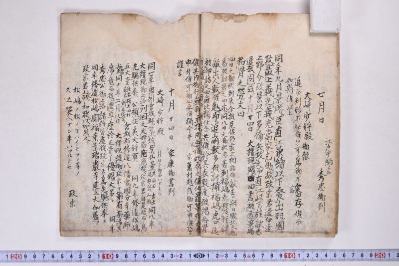 「本朝元始国常立尊第八代〜」（系図・家譜） - ページ 15