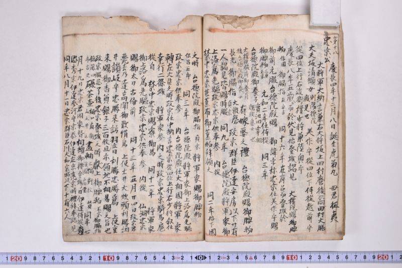 「本朝元始国常立尊第八代〜」（系図・家譜） - ページ 18