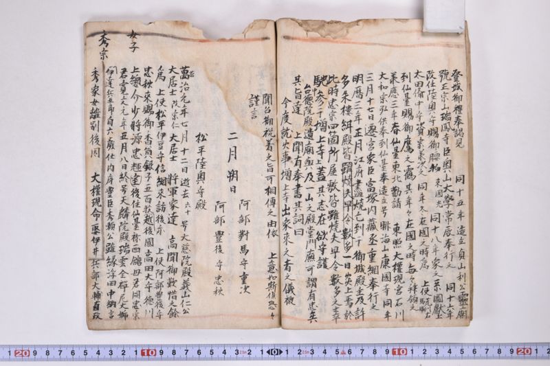 「本朝元始国常立尊第八代〜」（系図・家譜） - ページ 19