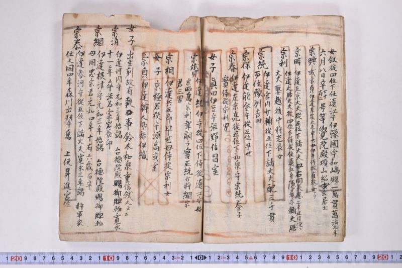 「本朝元始国常立尊第八代〜」（系図・家譜） - ページ 20