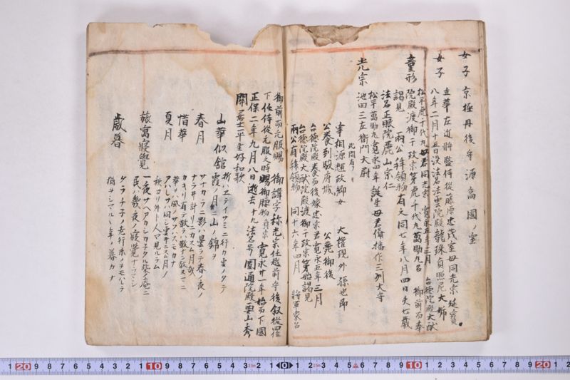 「本朝元始国常立尊第八代〜」（系図・家譜） - ページ 22